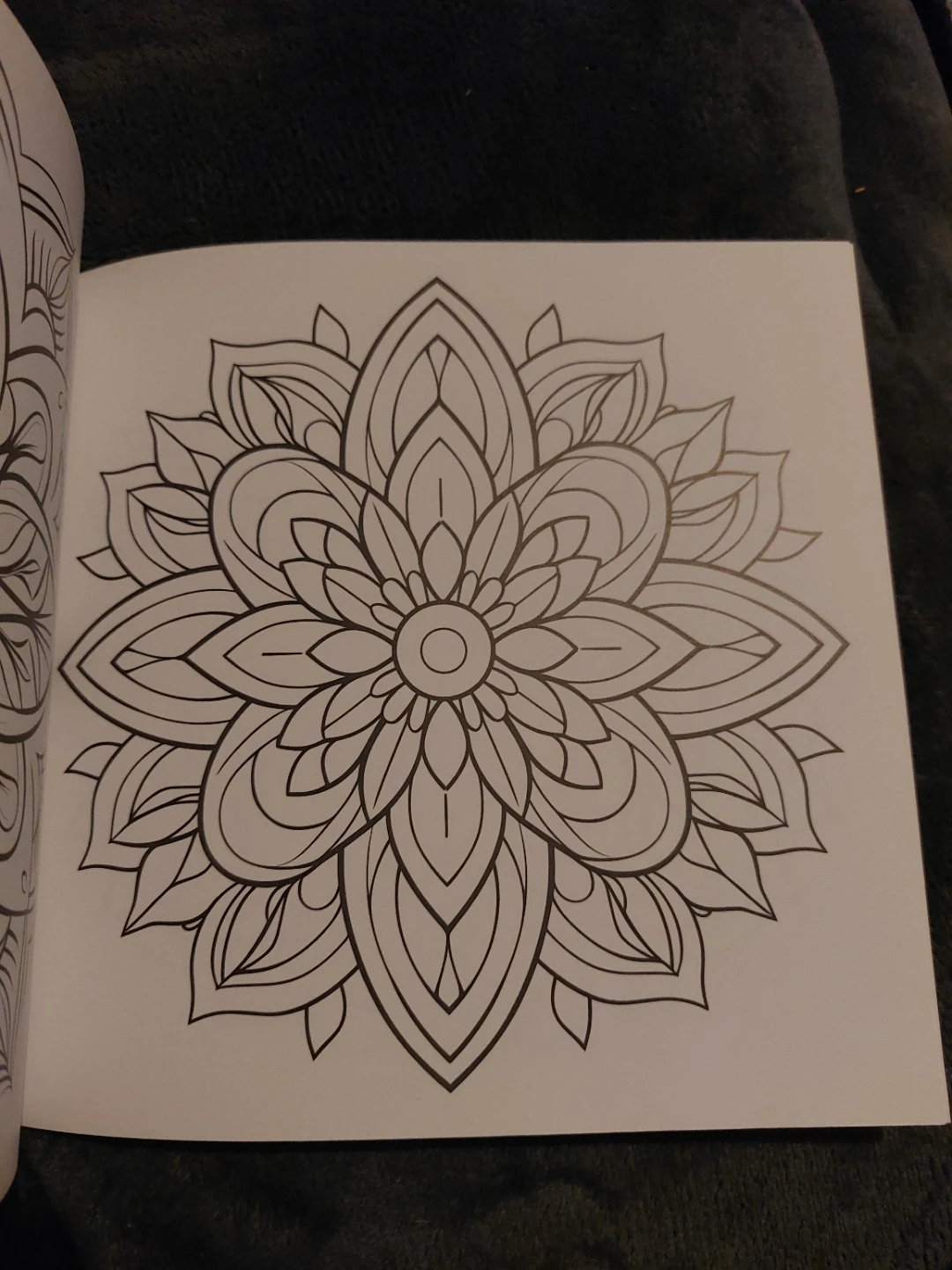 Mindful Mandala Adult Coloring Book - photo 4