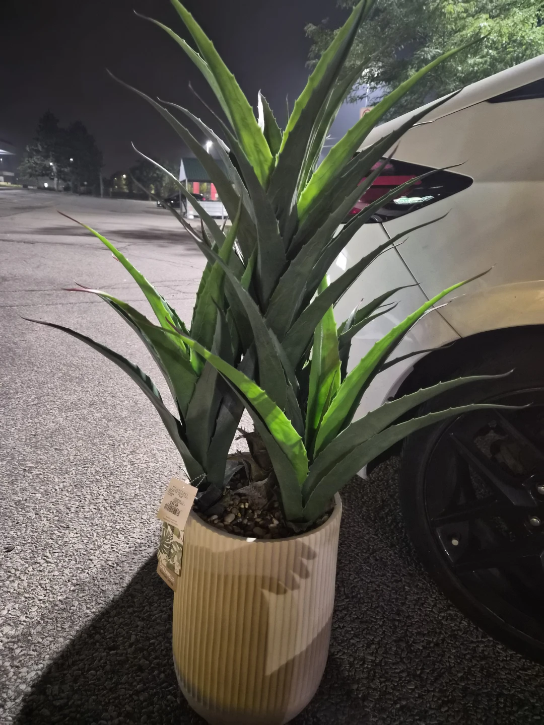 Homesense Faux Aloe Plant