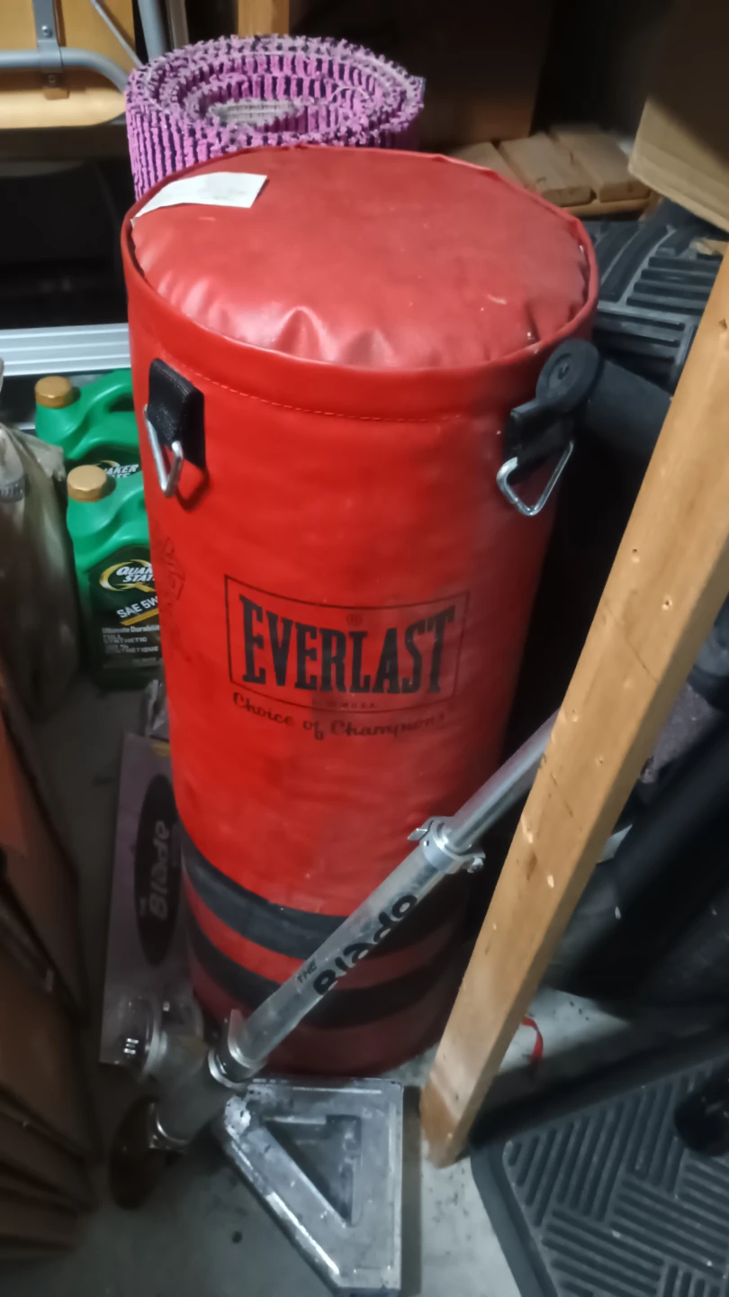 Everlast Red Punching Bag, brand new.