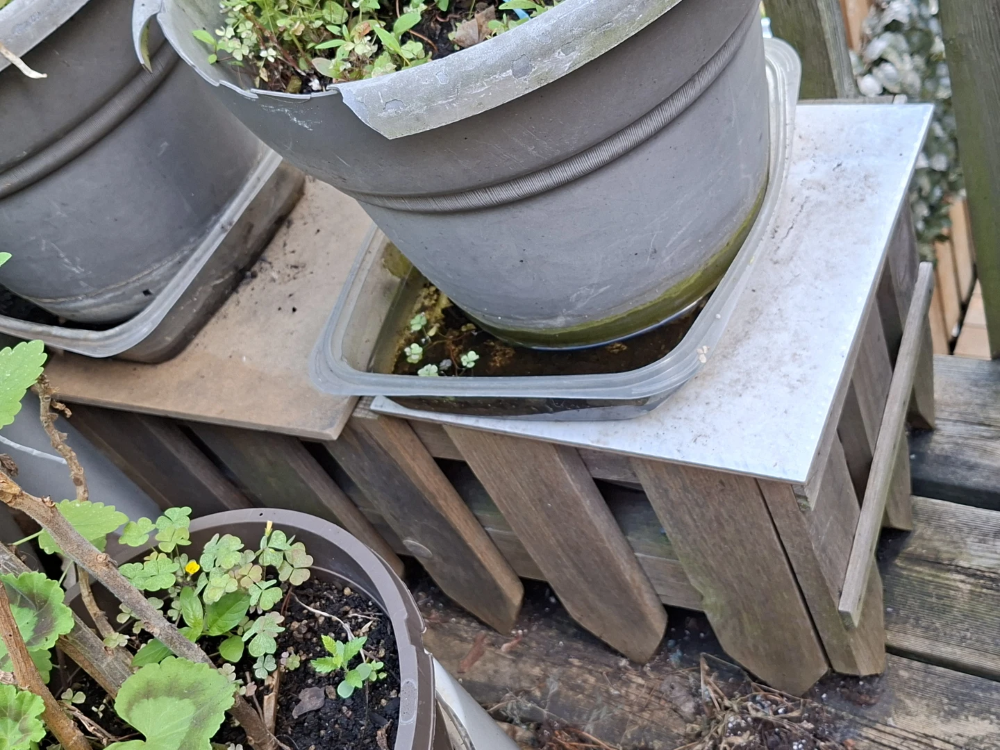 Wooden Plant Stand - photo 2