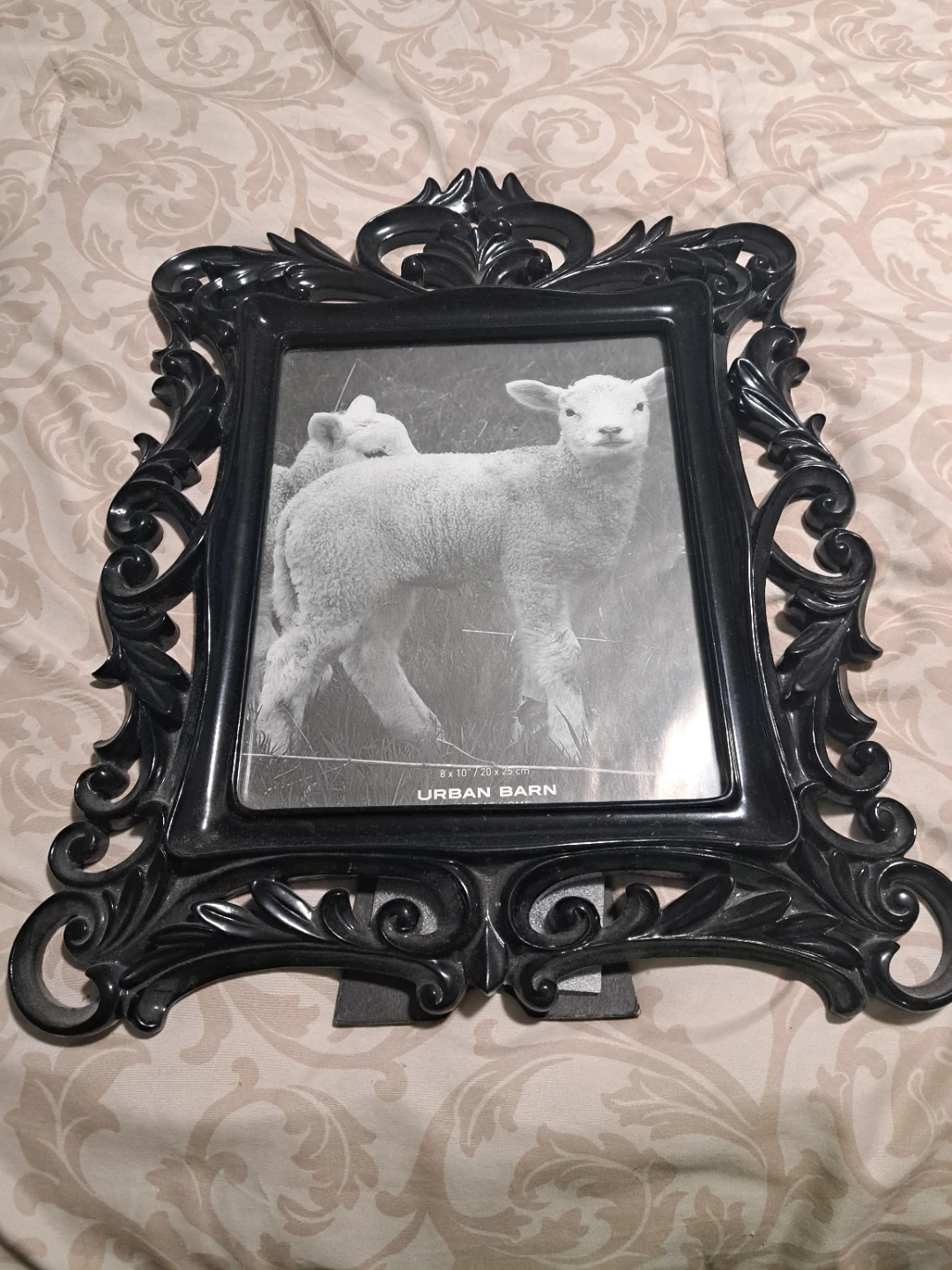 Urban Barn ornate photo frames (2)
