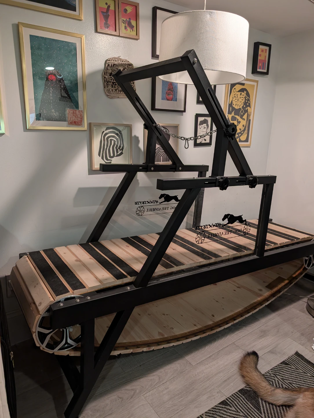 Dog Treadmill - photo 2