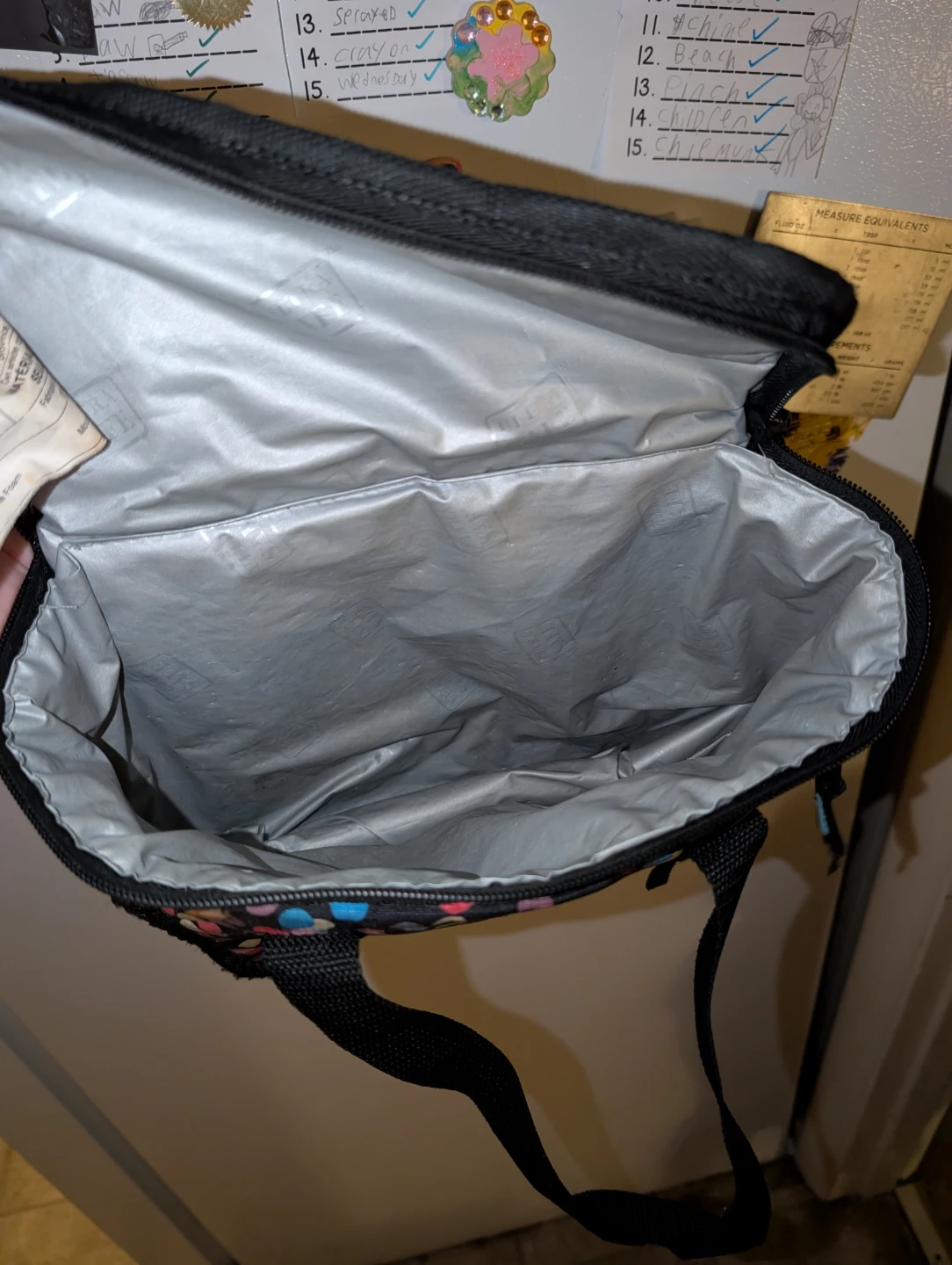 Insulated Lunch Bag ( have 3 different ones cash )