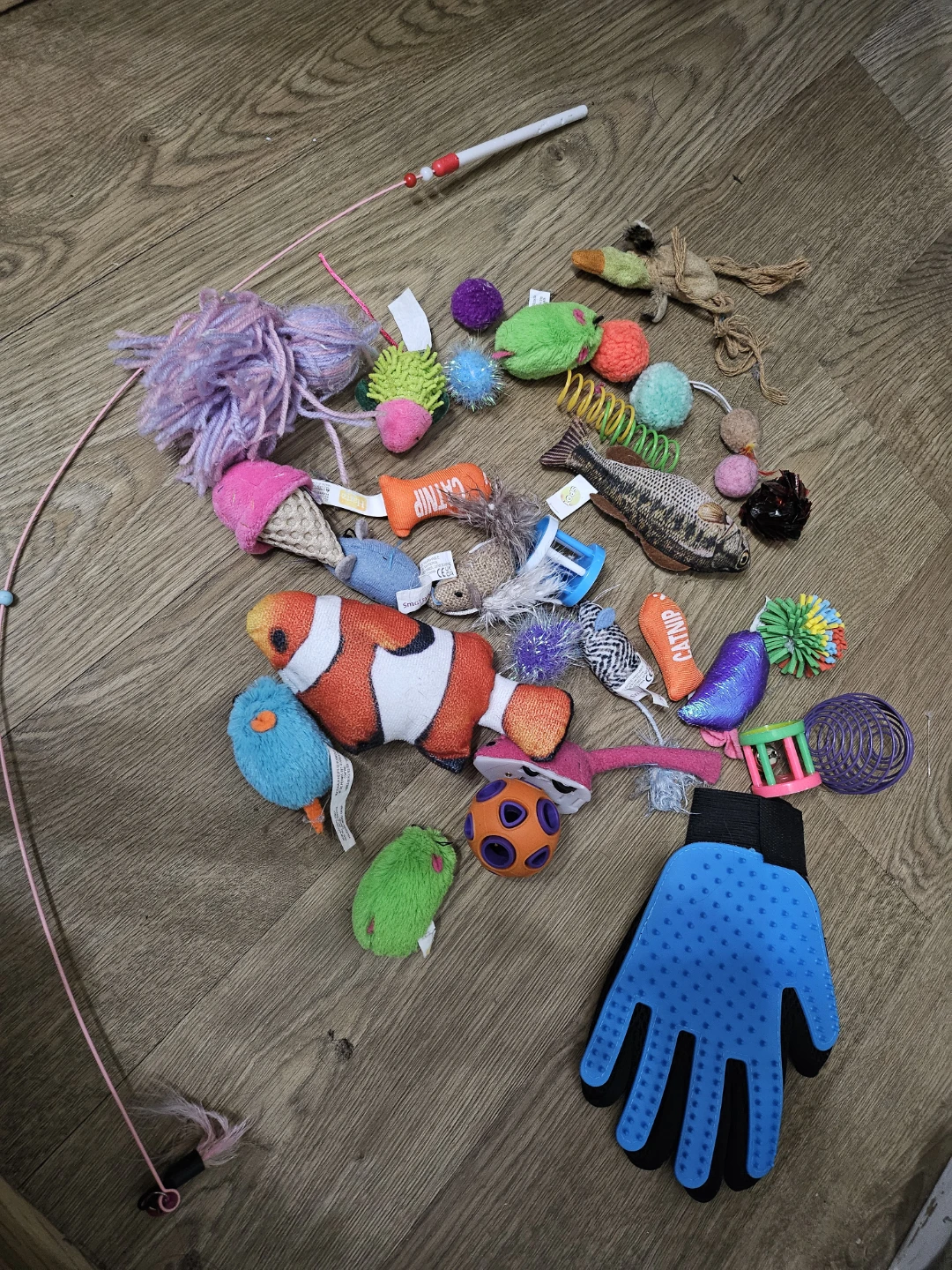 MINISO Pet Grooming Beauty Set - photo 4