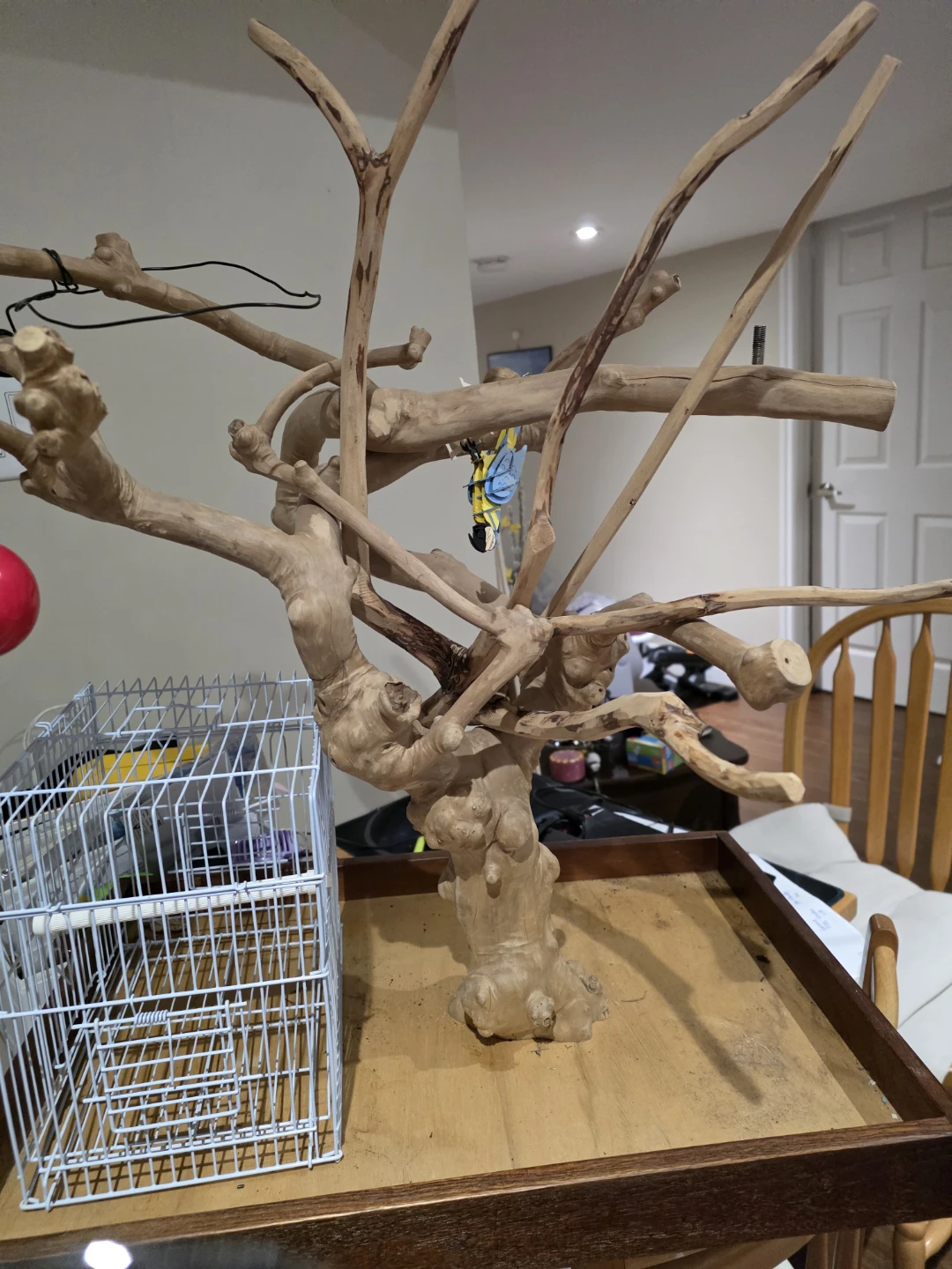 Natural Wood Bird Perch Stand - photo 2