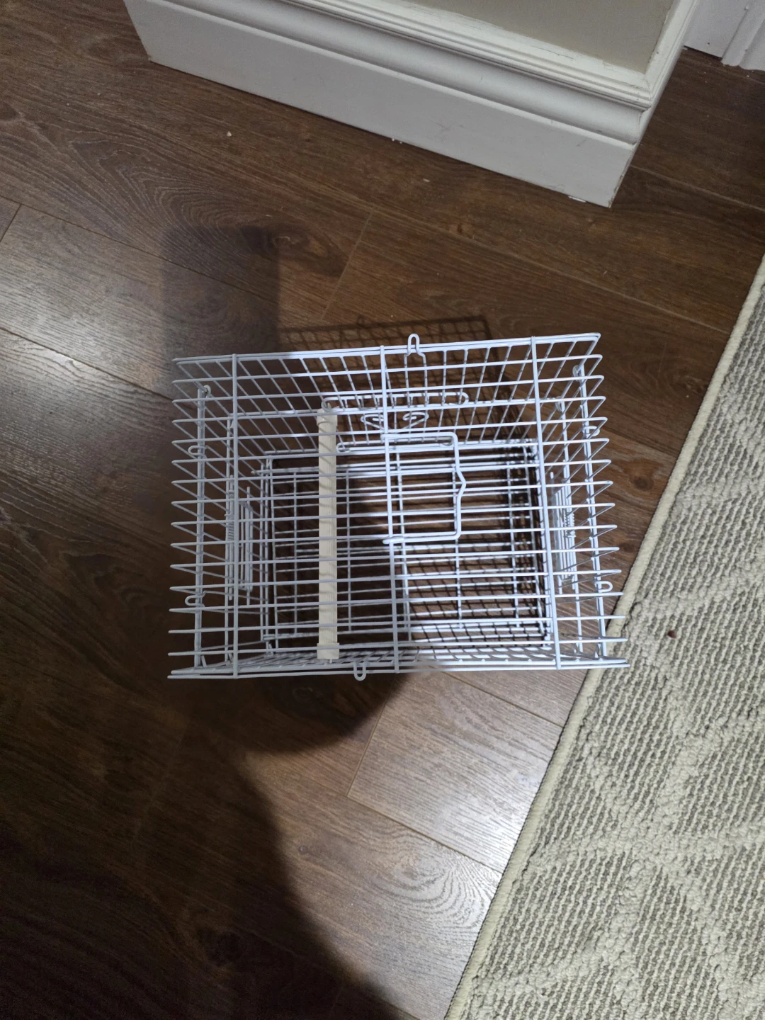White bird cage