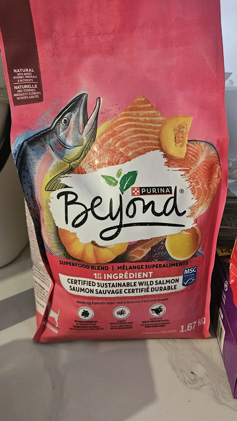 Purina Beyond Certified Sustainable Wild Salmon Dog Food