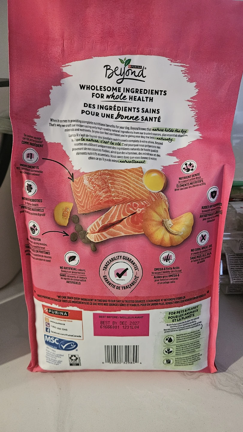Purina Beyond Certified Sustainable Wild Salmon Dog Food - photo 2