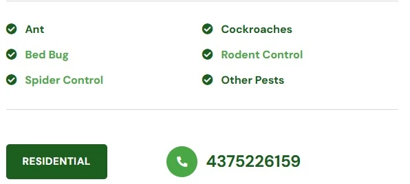 Life Time Pest Control Services - photo 3