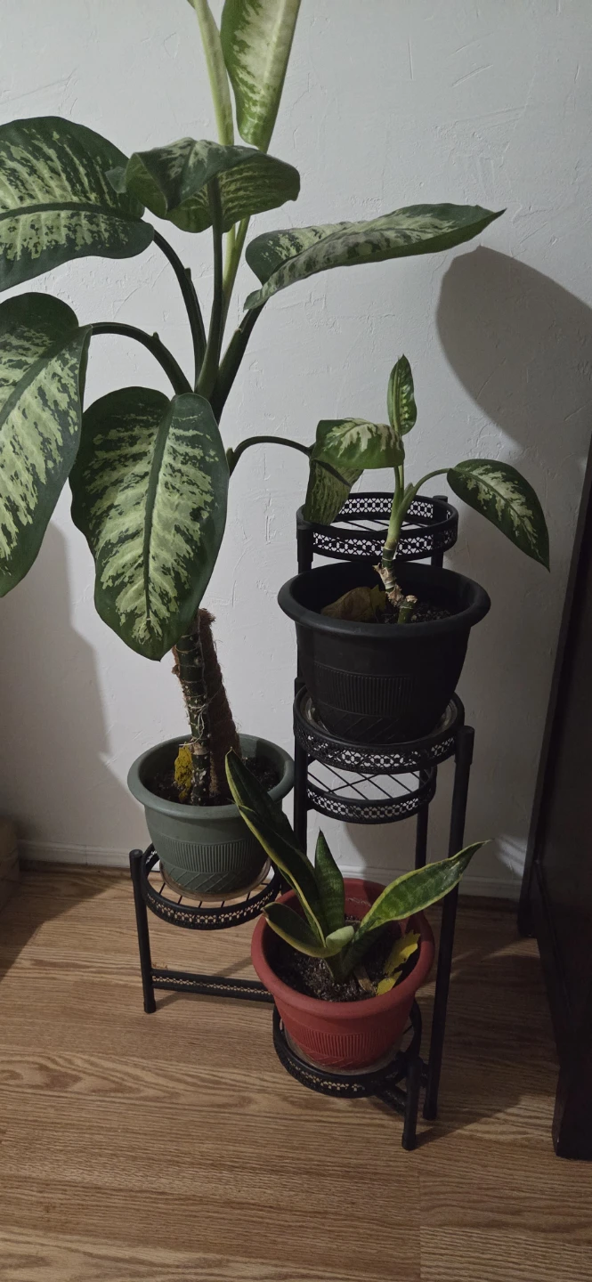 Moving out sale - photo 4