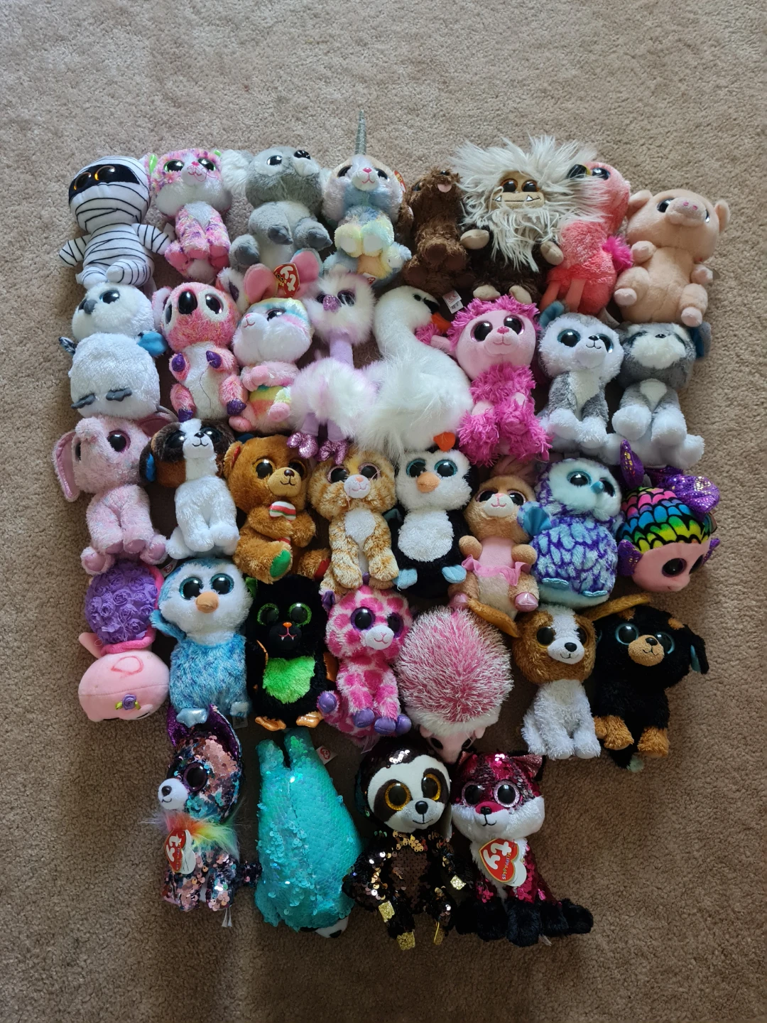 Beanie Boo Plushes