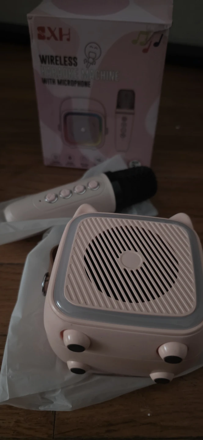 SXH Wireless Karaoke Machine with Microphone