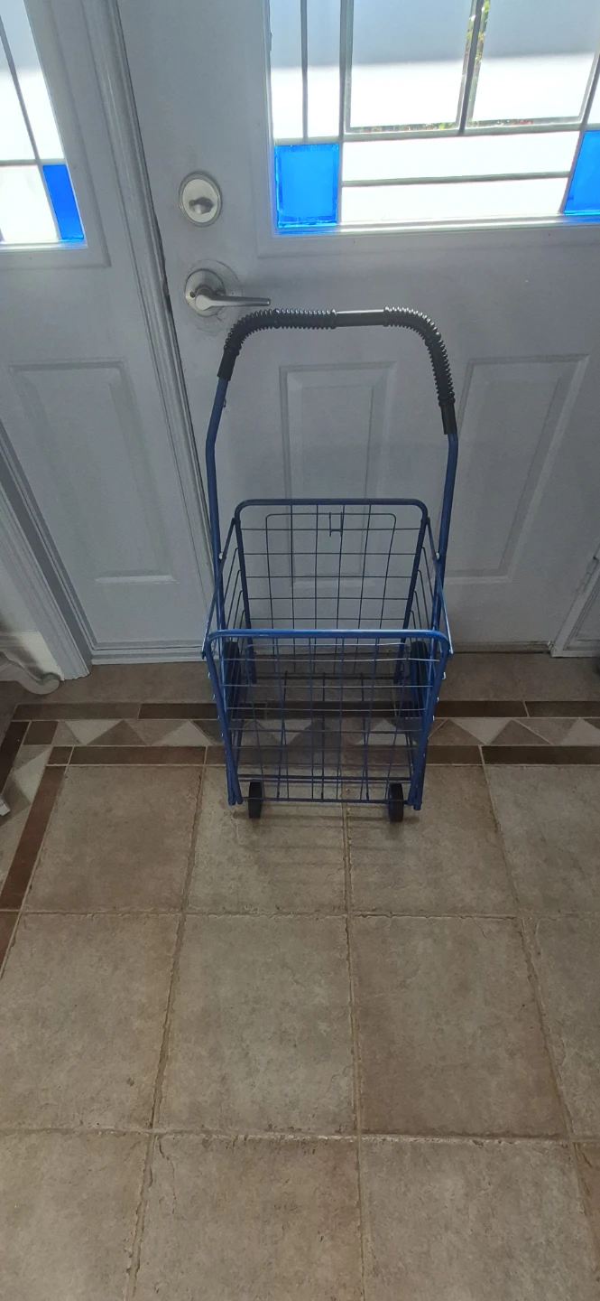 Blue Folding Shopping Cart