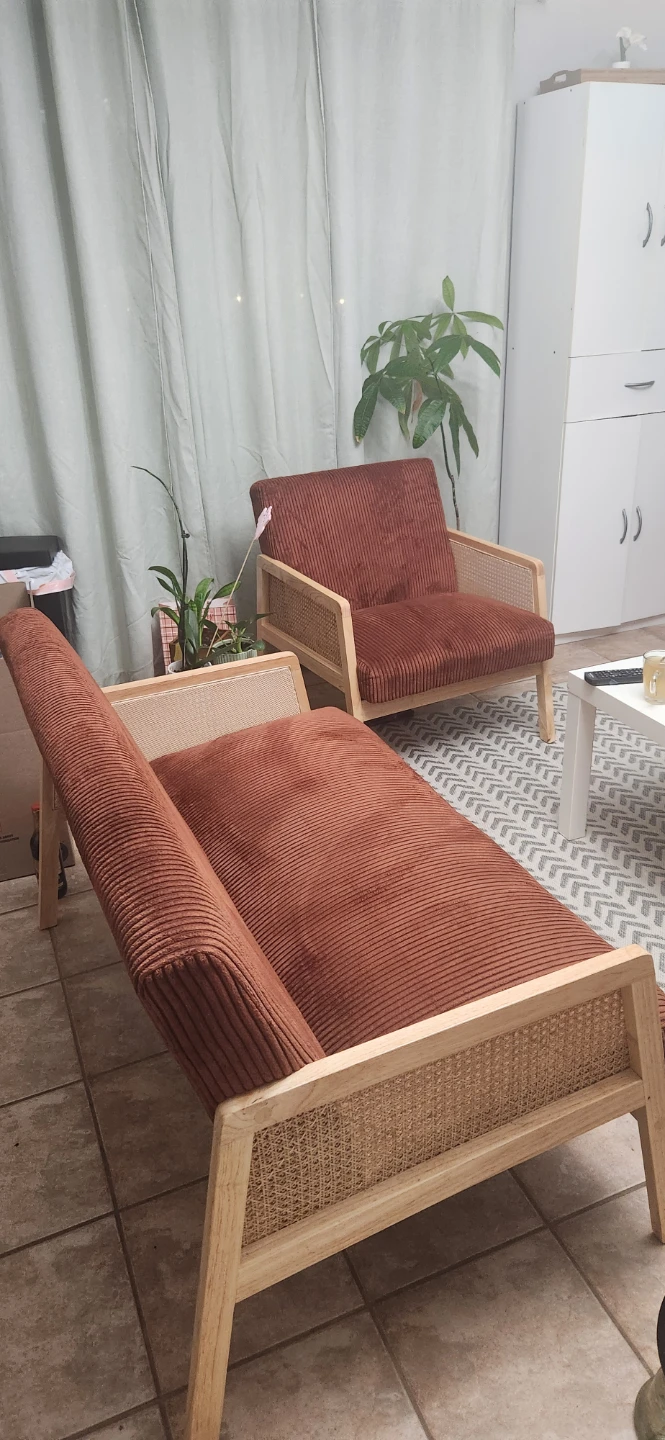 Beckett Accent Armchair - Terracotta Corduroy & Cane - photo 3