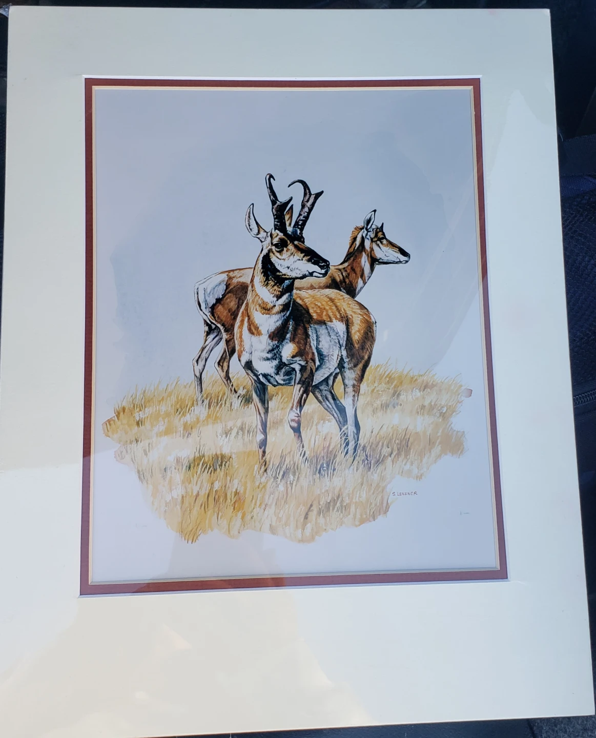 New matted Pronghorn Antelope Art Print - photo 2