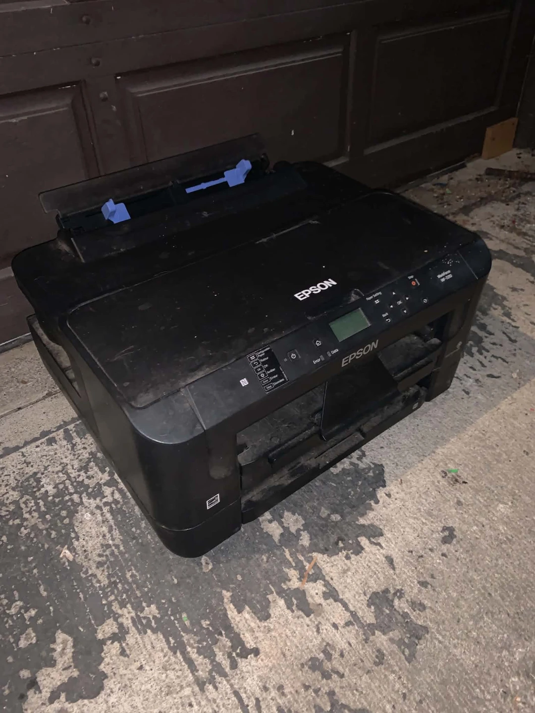 Epson Professional Printer - photo 2