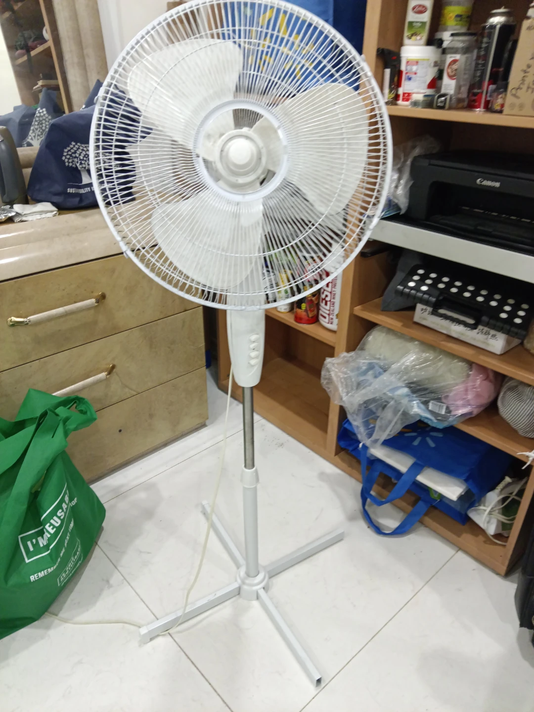 White Pedestal Fan