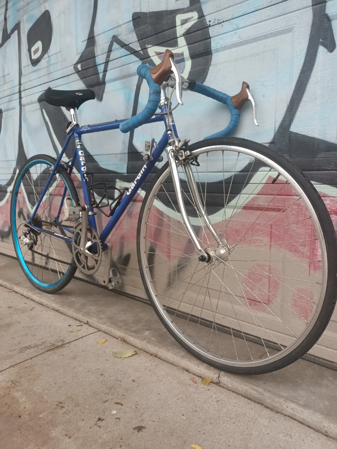 Gardin Bike Small Frame