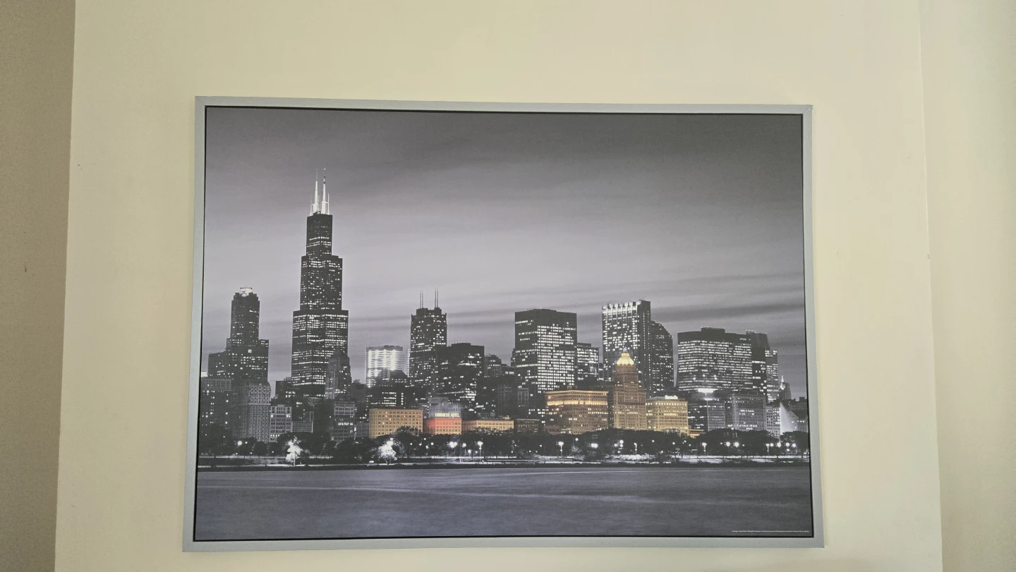 Framed Chicago Skyline Black and White Wall Art