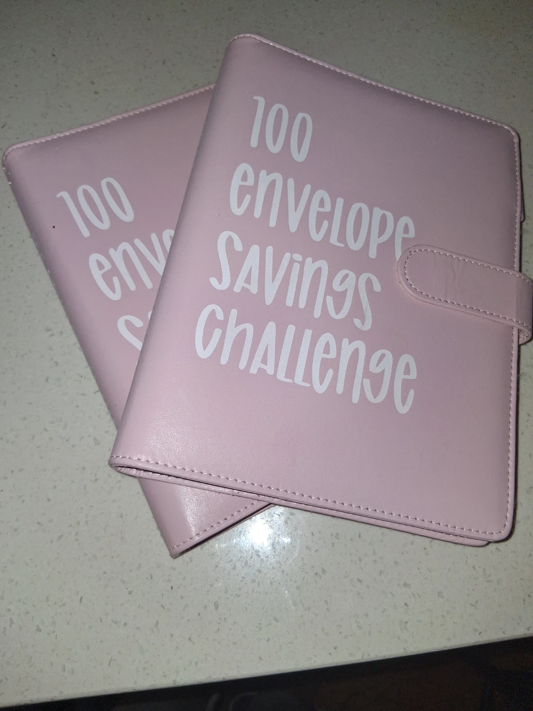 Pink 100 Envelope Savings Challenge Binder - photo 3