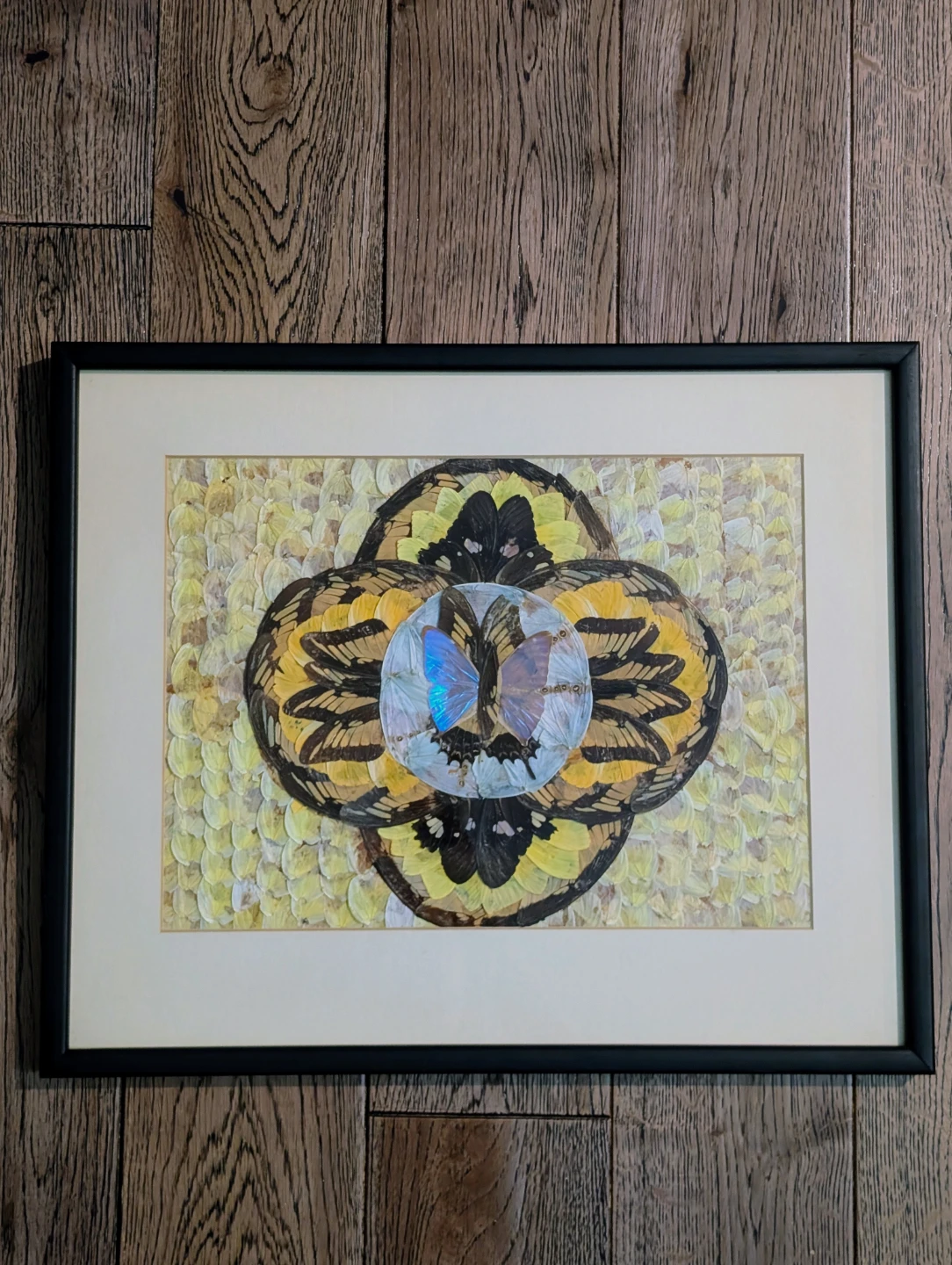 Vintage Real Butterfly Wing Moth Kaleidoscope Taxidermy Wall Art