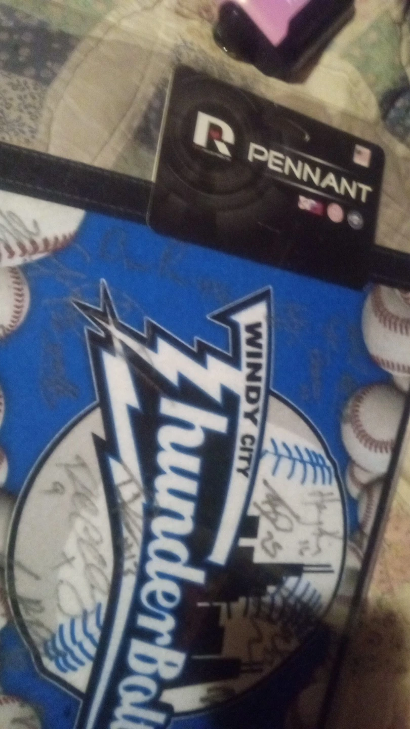 2024 team signed Windy City Thunderbolts Pennant - photo 2