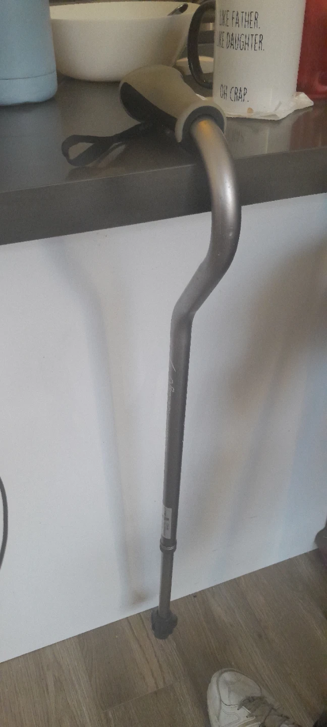 Cane