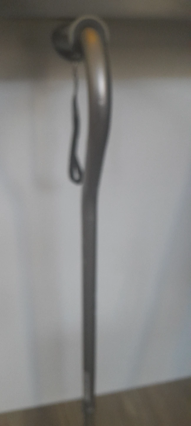 Cane - photo 2