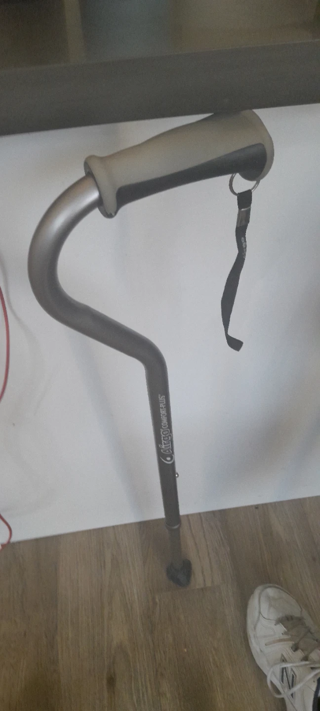 Cane - photo 3