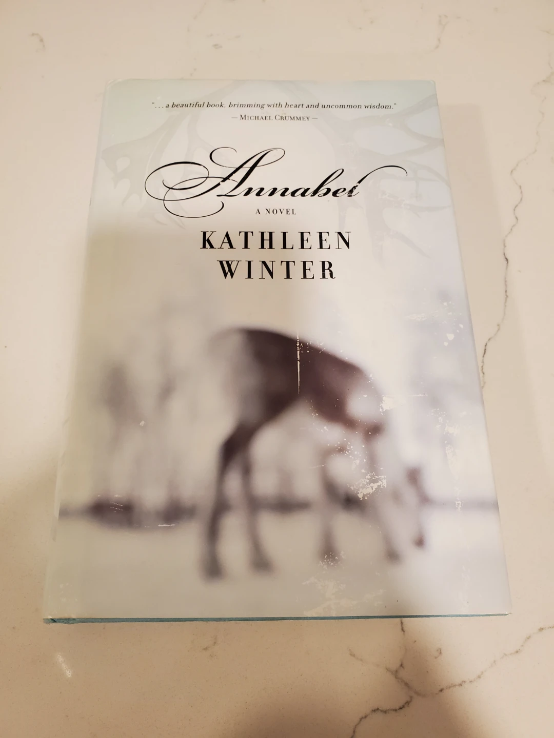 Annabel a Novel by Kathleen Winter - Hard Cover