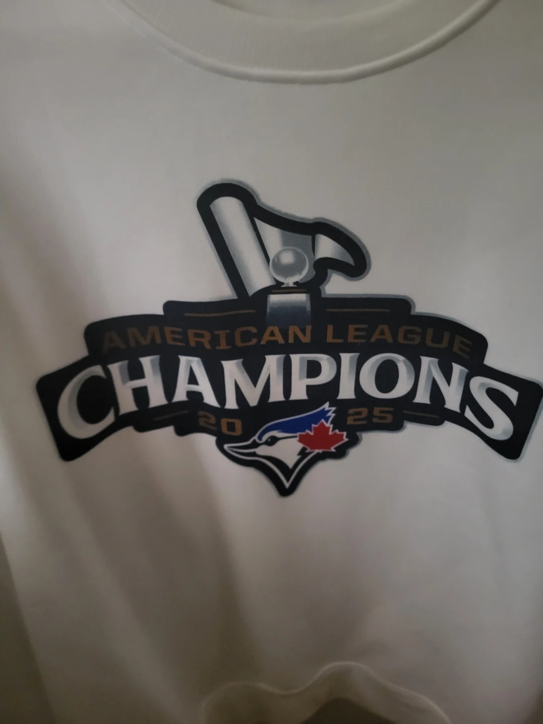 Blue Jays 2025 AL Champions Sweater (XL) - photo 2