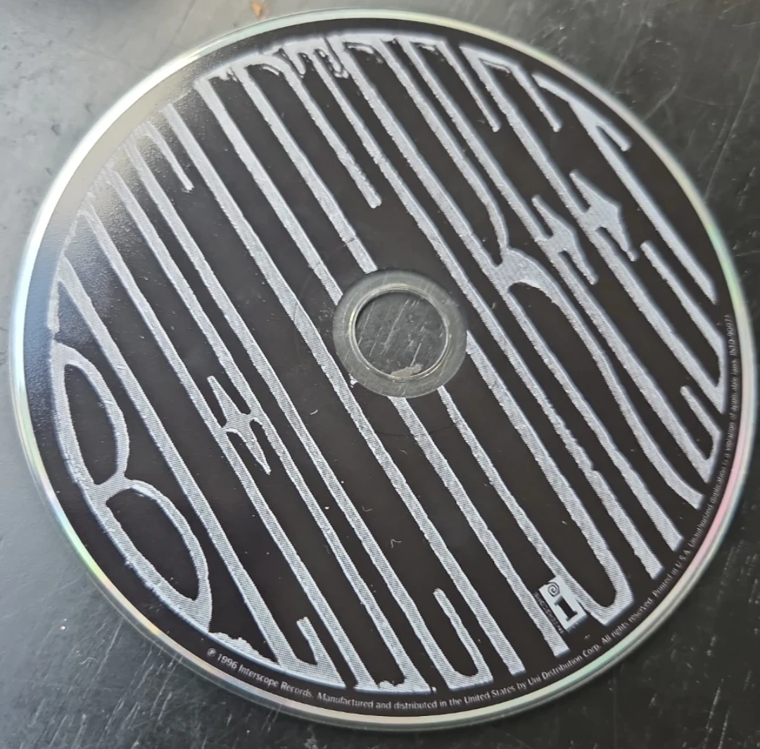 Beastie Boys Hello Nasty CD - photo 4