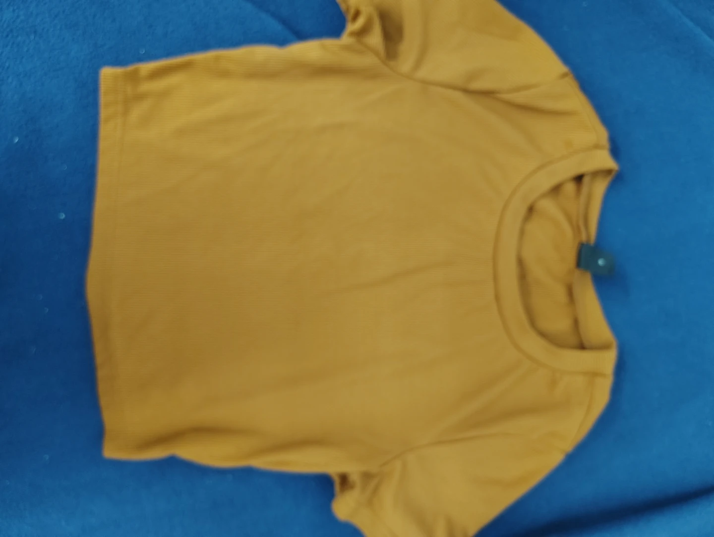 Brown Cropped Top