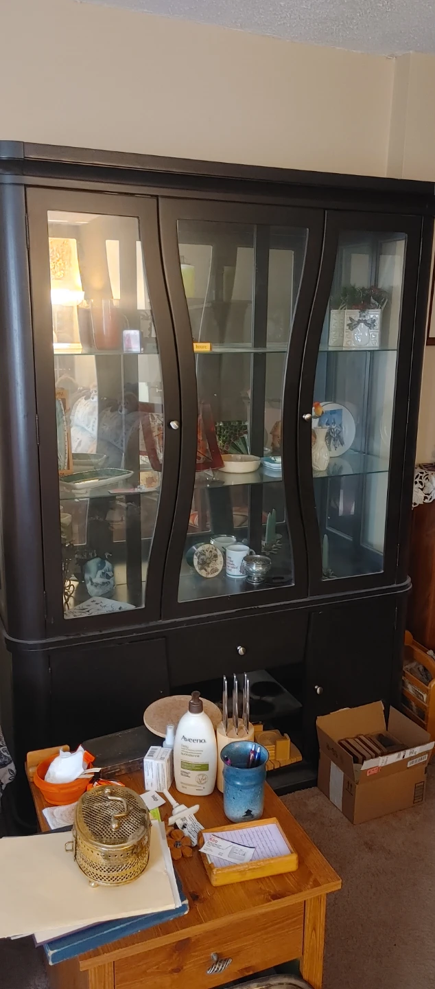 Black Curio Cabinet with Glass Doors