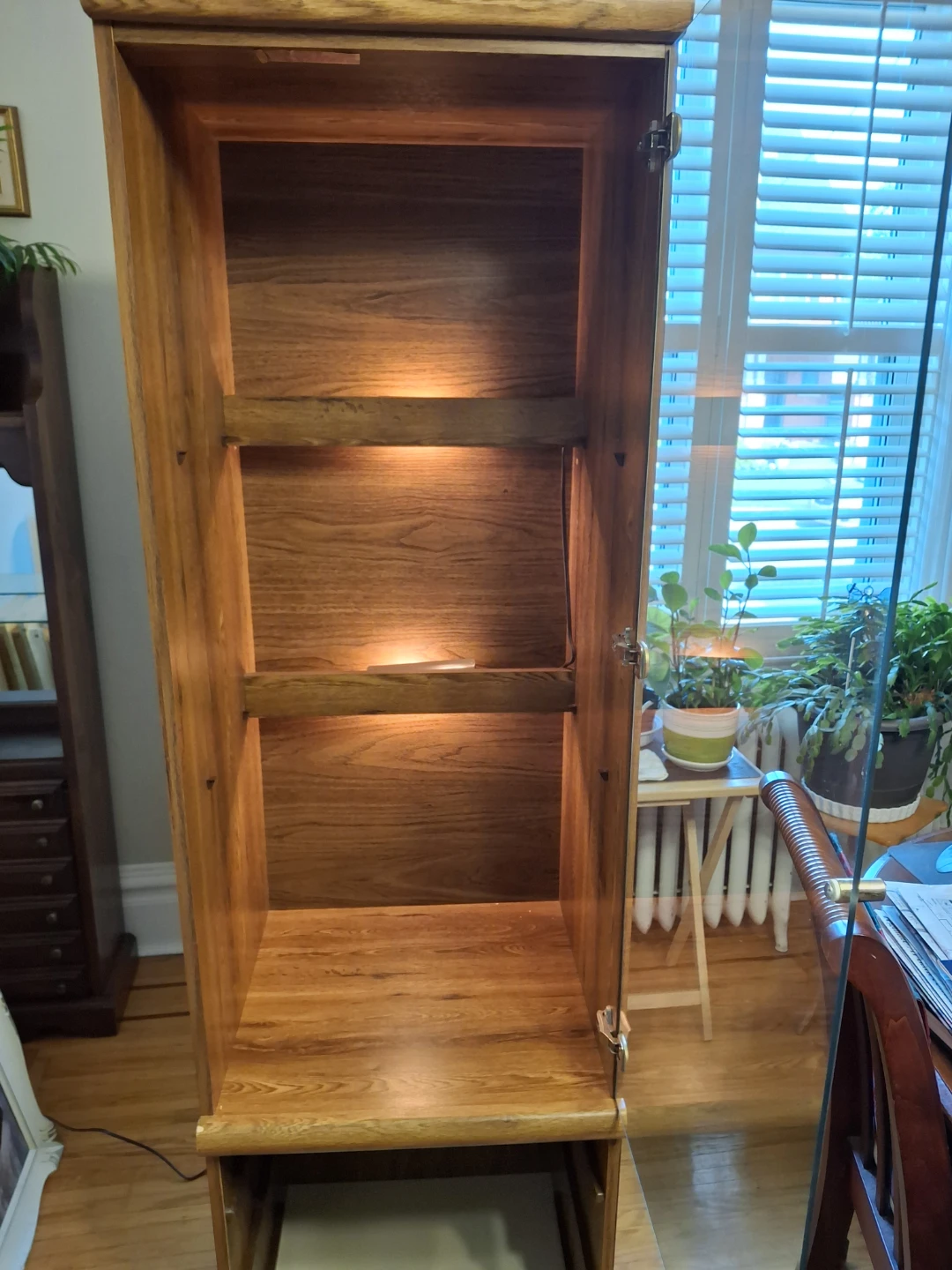 Wooden Display Cabinet with Glass Door and Light - photo 4