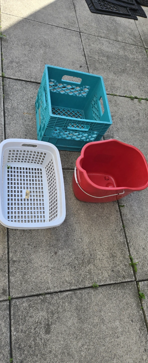 Bins/Baskets Free
