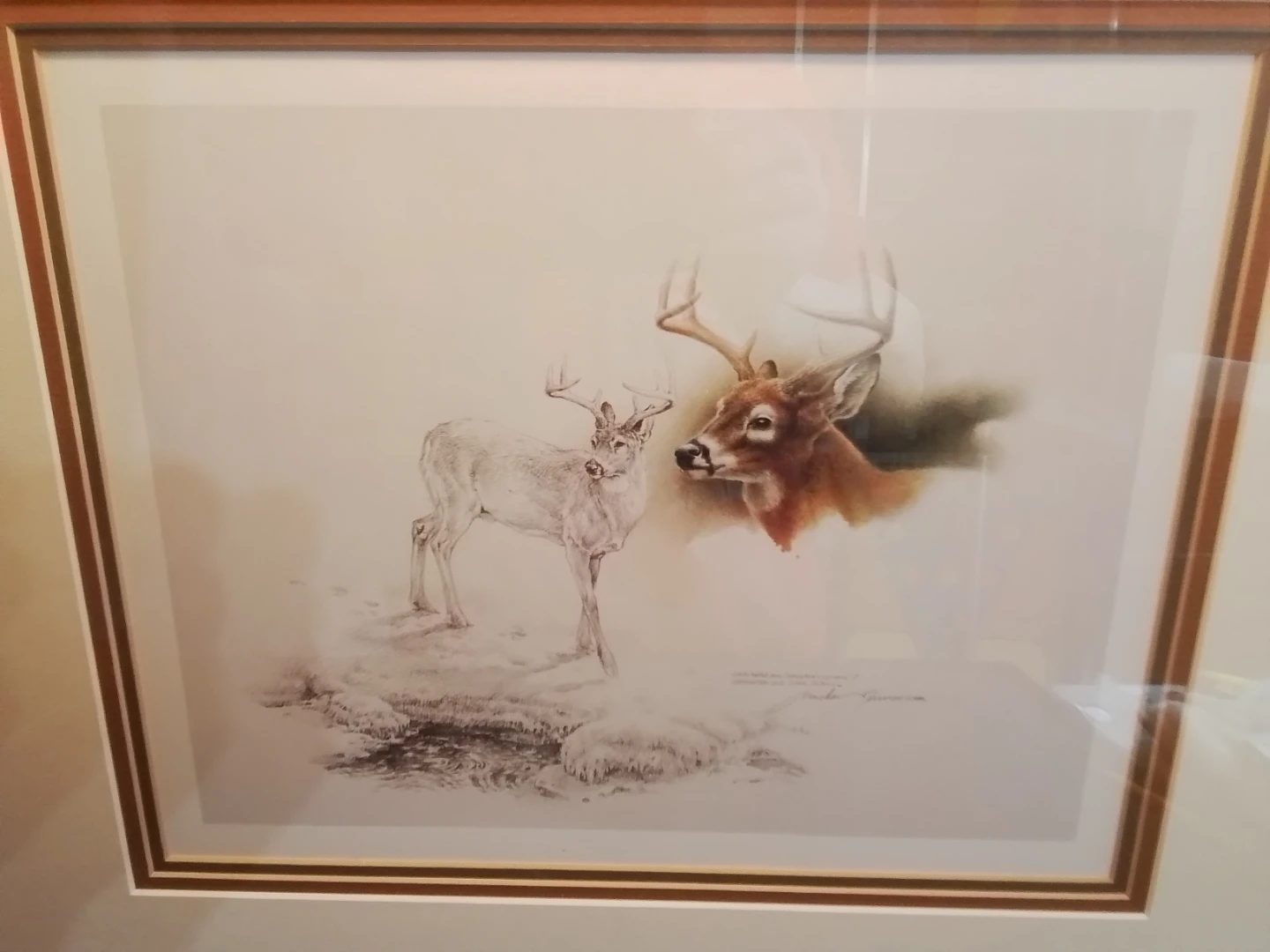 Framed Michael Dumas Signed Wildlife Print - photo 2