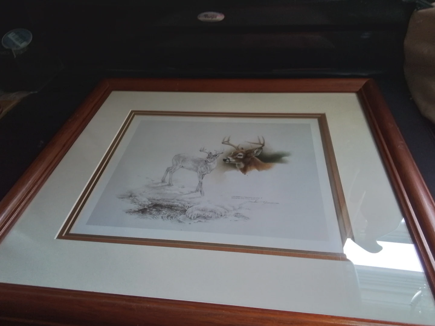 Framed Michael Dumas Signed Wildlife Print - photo 3