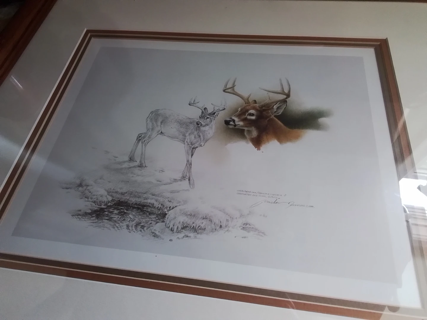 Framed Michael Dumas Signed Wildlife Print - photo 5