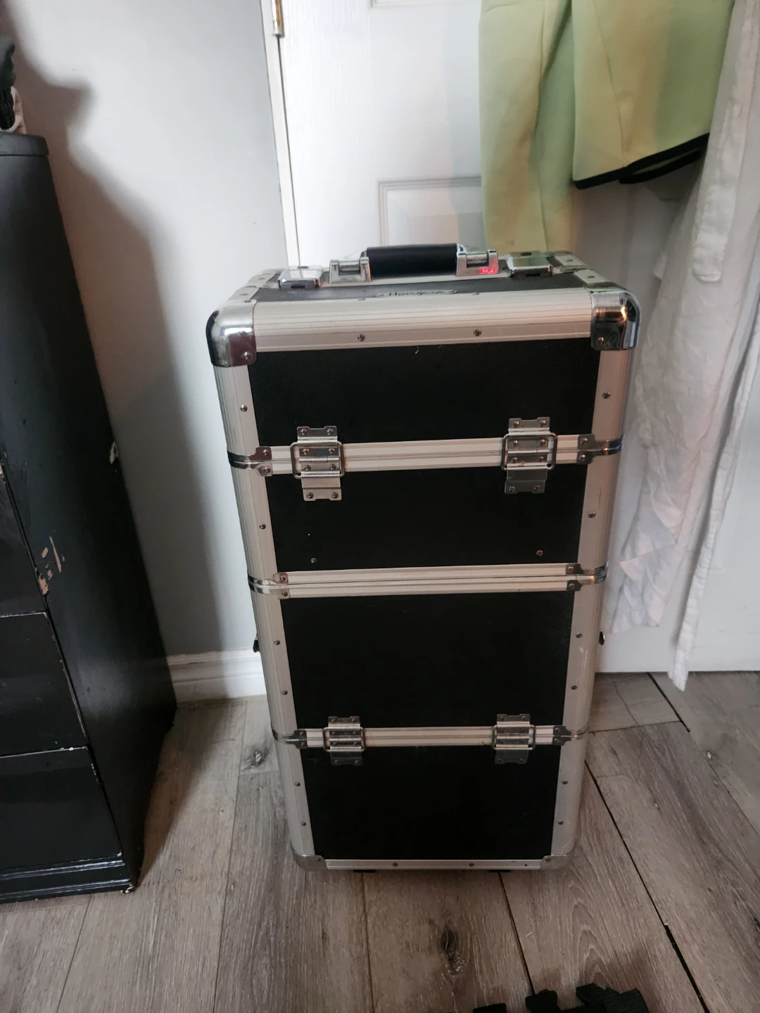 Makeup train Case