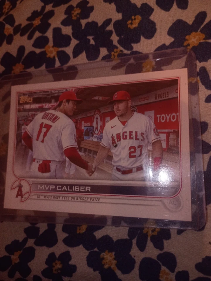 Ohtani Trout