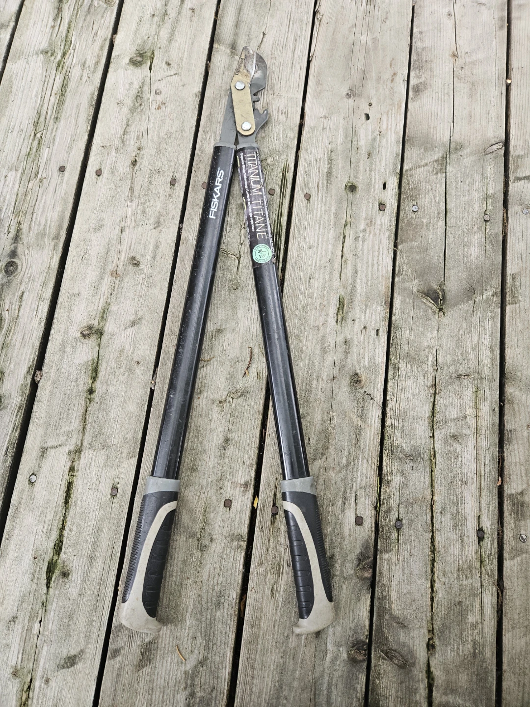 Fiskars Titanium Loppers.