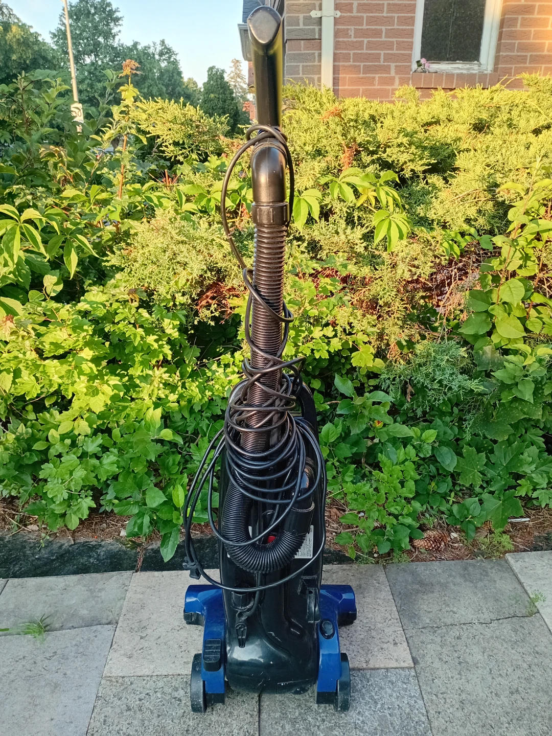 Lancaster Upright Vacuum Cleaner - photo 4