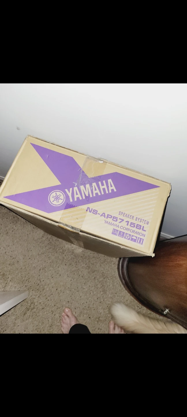 Yamaha NS-AP5715BL Speaker System