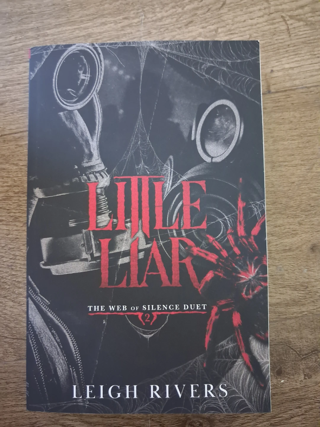 Little Liar: The Web of Silence Duet  by Leigh Rivers