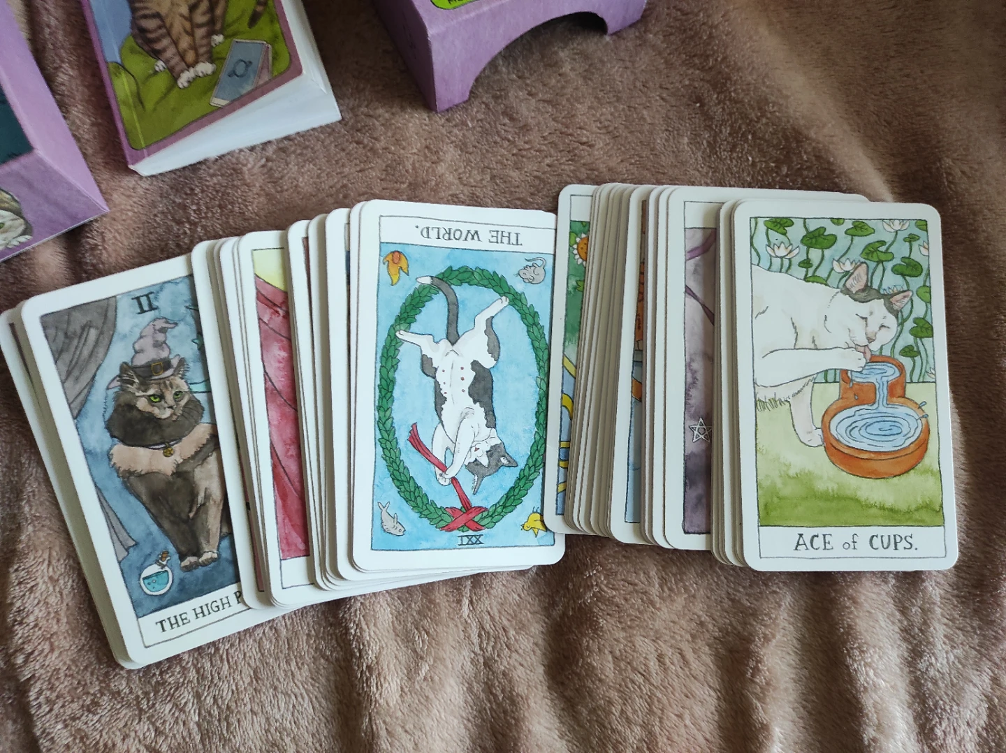 Cat tarot deck - photo 4