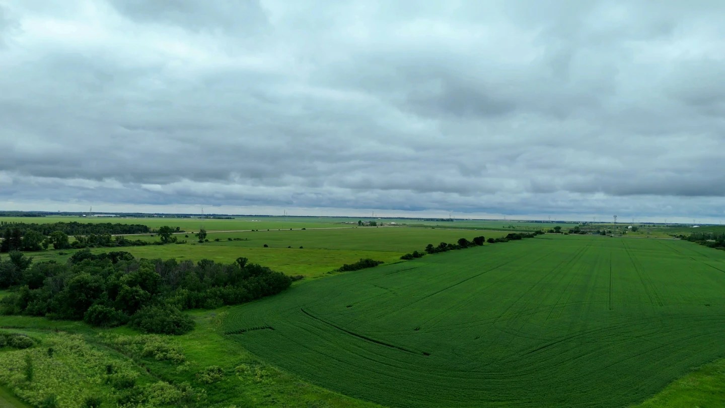 Drone Photography and Videography/Cinematography - photo 4