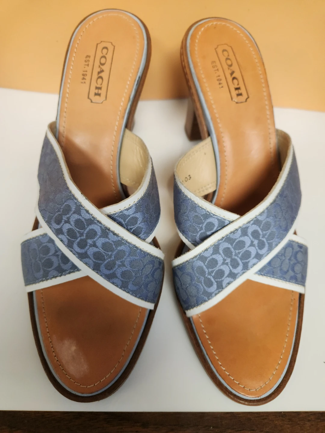 Coach Mule Heels - Blue Signature Print