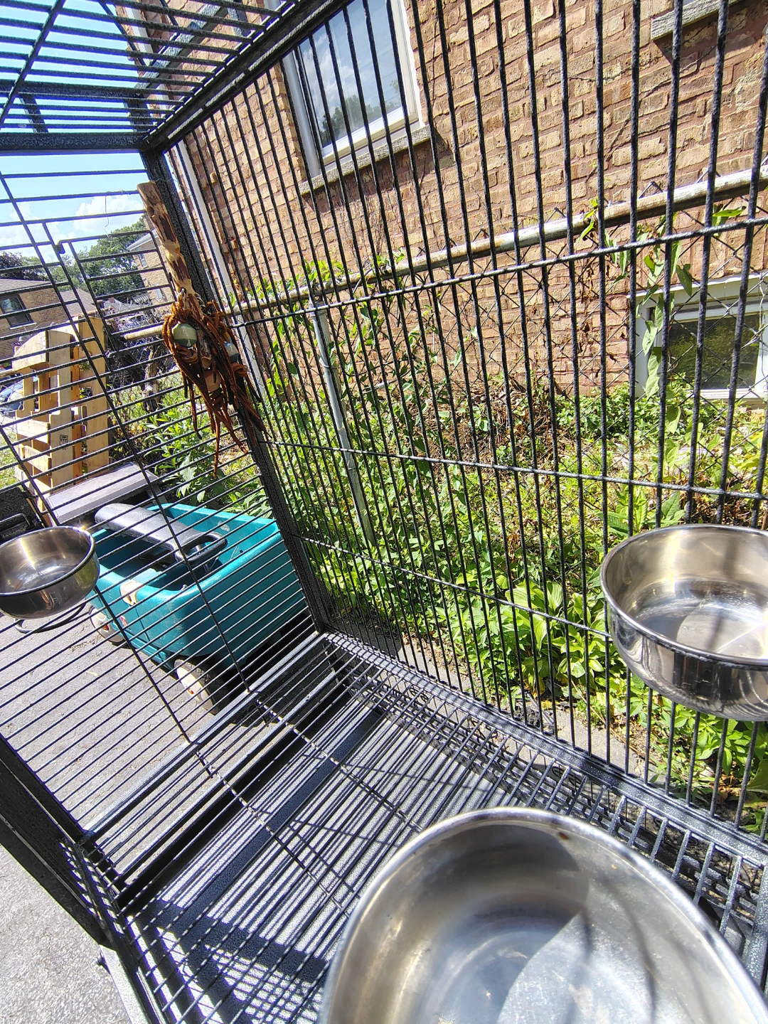 BIG BIRD CAGE - photo 5