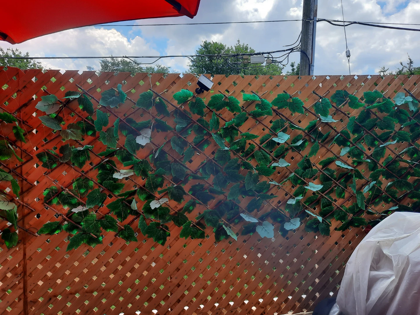 Wooden Lattice Fence with Artificial Vines